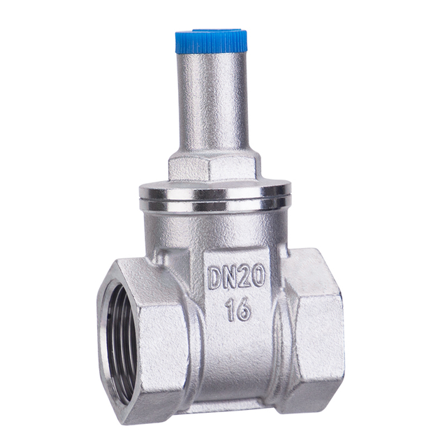 Stainless Steel Mechanical Lockable Gate Valve