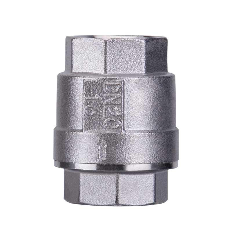 Stainless Steel Vertical Check Valve