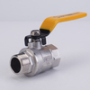 Stainless Steel Male Female Thread Valve