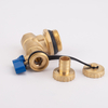 Manual Brass Air Vent & Drain Valve for Manifold Maintenance Systems