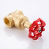 SL-1109 Gate Valve