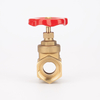 SL-1101 Bronze Gate Valve