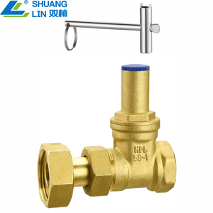 SL-1115F Magnetic Locking Upstream Gate Valve