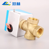SL-2121 Electric Three-way Globe Valve