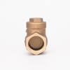 Bronze One Way Valve