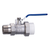 Stainless Steel PPR Union Valve