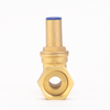 Mechanical Lock Non-Return Brass Gate Valve