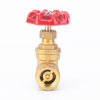 Non-Return Brass Gate Valve