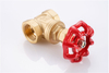 SL-1105 Bronze Gate Valve