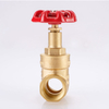SL-1109 Gate Valve