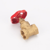 SL-1101 Bronze Gate Valve