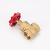 SL-1103 Bronze Gate Valve