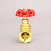 SL-2019H Globe Valve