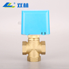 SL-2121 Electric Three-way Globe Valve