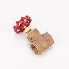Bronze Gate Valve