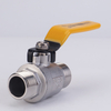 Stainless Steel Double Male Thread Valve