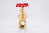 Brass Gate Valve