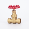 SL-1117 Ferrule Gate Valve